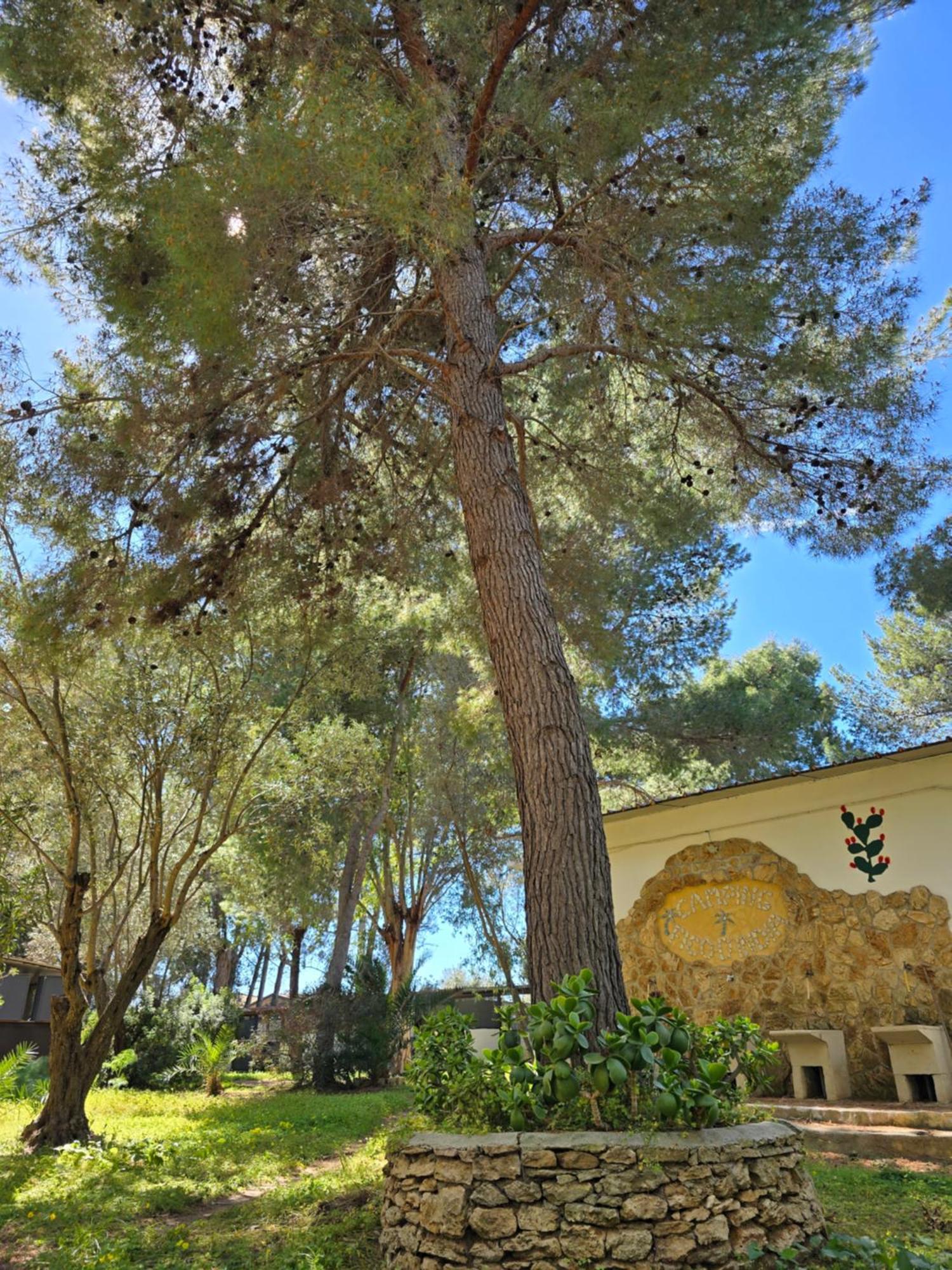 Village Camping Fico D'India Ovile la Marina Exterior photo