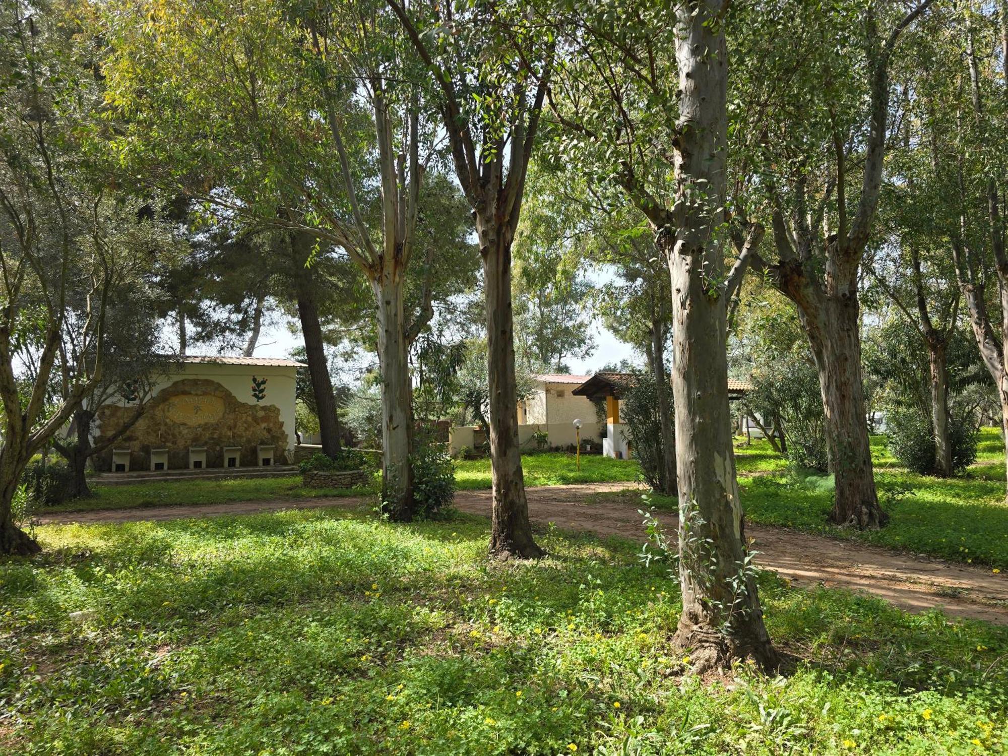 Village Camping Fico D'India Ovile la Marina Exterior photo