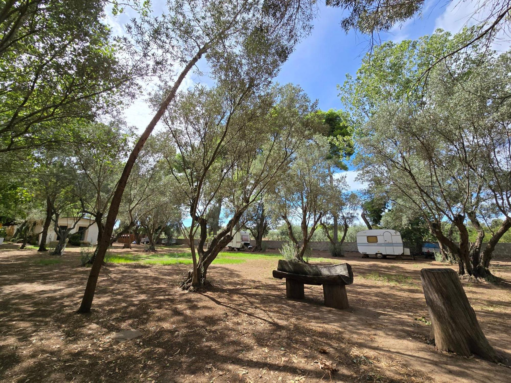 Village Camping Fico D'India Ovile la Marina Exterior photo